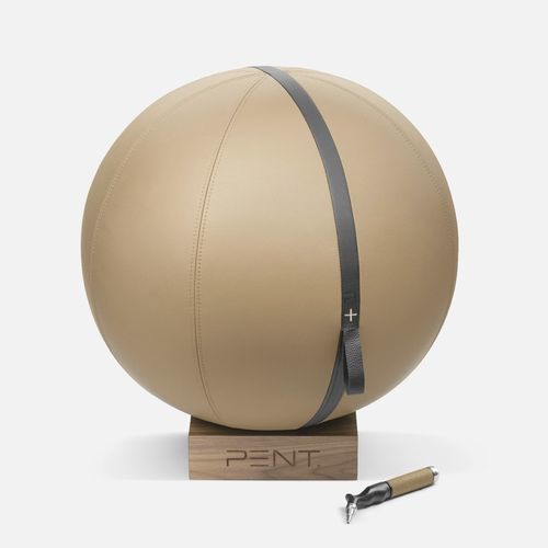 Balle de Pilates - MESNA™  - PENT Luxury Home Furniture & Fitness Accessories
