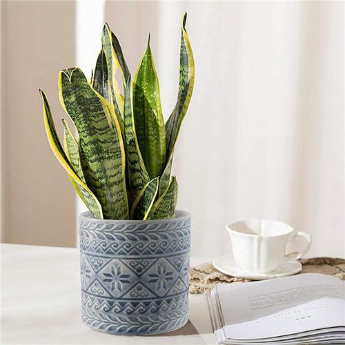 Pot de jardin en céramique émaillée - AN0064 - Guangzhou Ancooly Gardening LTD - rond / résidentiel / pour hôtel