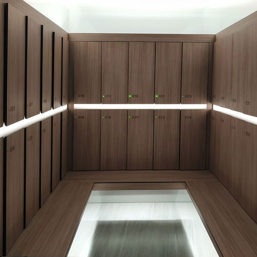 Casier de rangement en HPL - DEBO F12 Smart Locker - DEBO - à clé / professionnel / pour établissement public
