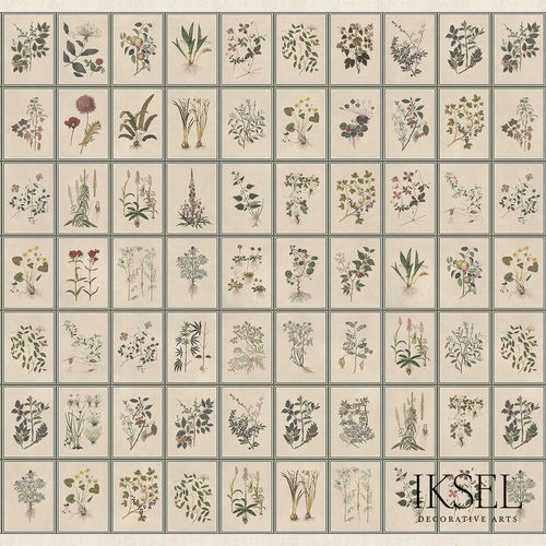Papier peint contemporain - SC146 Renaissance Herbier Original - Iksel Decorative Arts - à motif nature / à motif floral / à motif géométrique