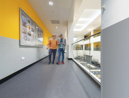 Protection murale en TPE - ACROVYN PVC-FREE - CS Construction Specialties - décorative / en feuille
