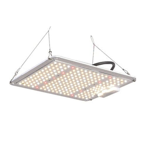 Projecteur IP65 - LGLBO - kindom opto-electronic co.,ltd - à LED / professionnel / d'intérieur