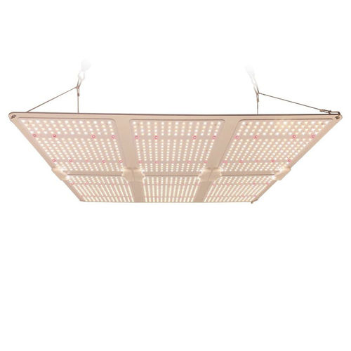 Projecteur IP65 - LGLBO - kindom opto-electronic co.,ltd - à LED / professionnel / d'intérieur