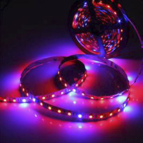 Ruban à LED - KD-LGL - kindom opto-electronic co.,ltd