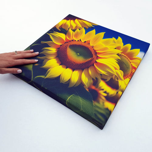 Panneau acoustique décoratif - DECHO® GRAFICA - Acustico - pour mur / pour plafond / suspendu