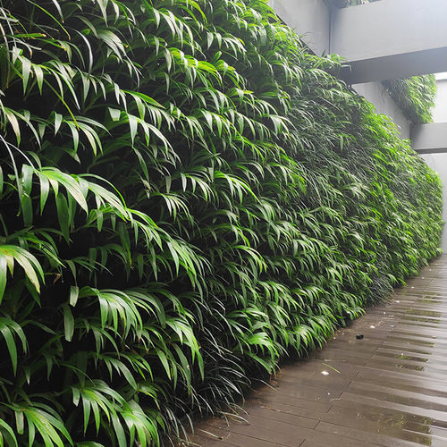 Jardin vertical en végétaux vivants - SKYGROW - Skytech Engineering L.L.C-FZ - sur mesure / en panneau modulaire / courbe
