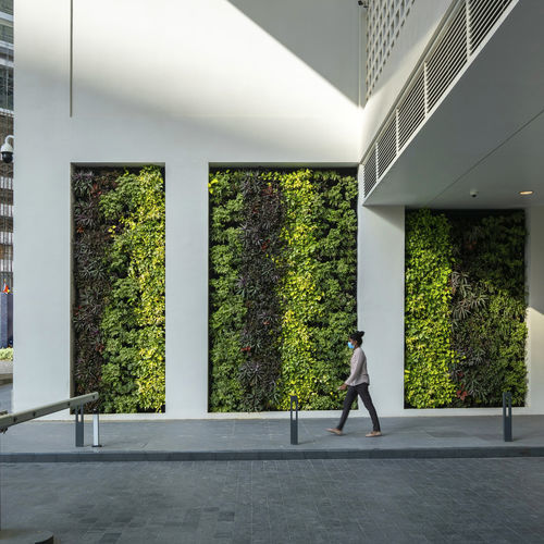 Jardin vertical en végétaux vivants - SKYGROW - Skytech Engineering L.L.C-FZ - sur mesure / en panneau modulaire / naturel