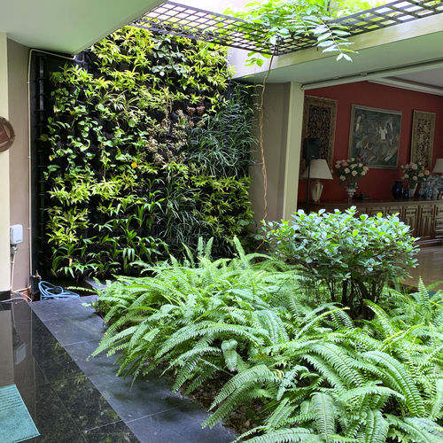 Mur végétal en végétaux vivants - Skytech Engineering L.L.C-FZ - sur mesure / naturel / d'intérieur