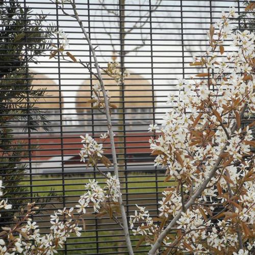 Clôture en treillis soudé - SECURIFOR 4D - Betafence International - pour espace public / en acier galvanisé / contemporaine