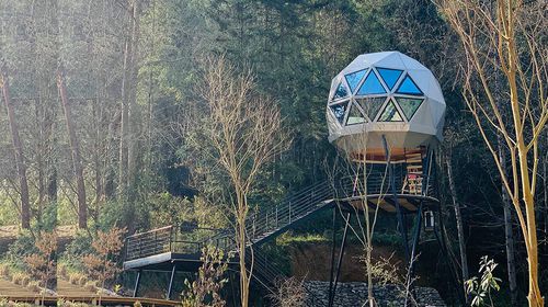 Maison préfabriquée - DOME - NingBo DeepBlue Smarthouse Co.,LTD. - sur l'arbre / contemporaine / individuelle