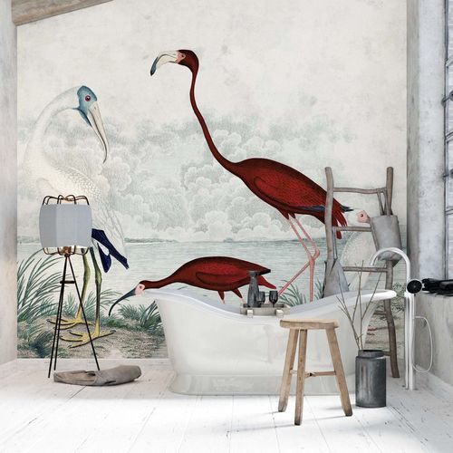 Papier peint de style - GRAVURE D&rsquo;OISEAUX EXOTIQUES - Kam et Leon - en textile non-tissé / en vinyle / motif animal