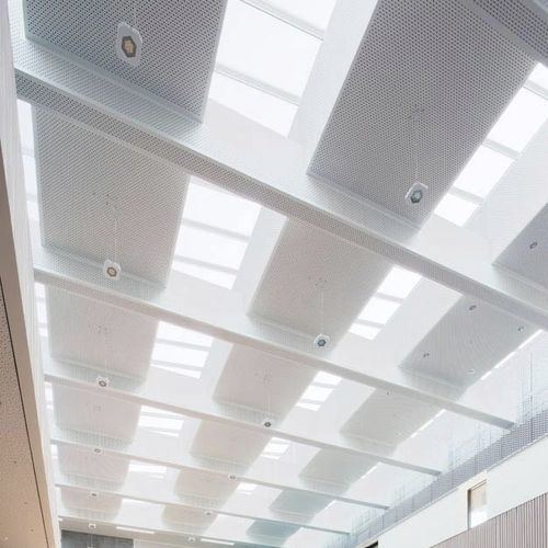 Dôme pour éclairage pour toiture-terrasse - SHRINK-OUTS - VELUX