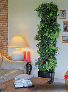 Mur végétal d'intérieur - FLOWALL® TOTEM - WATTELEZ