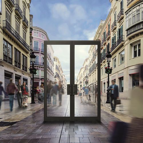 Porte d'entrée - TITANE 65 - TECHNAL - en verre / en aluminium / à pivot