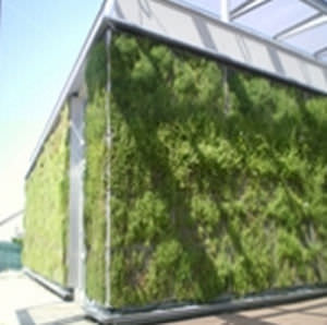 Mur végétal d'extérieur - SOPRANATURE® VIVAGREEN® - SOPREMA - avec structure modulaire