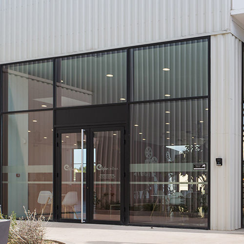 Porte d'entrée - 4500GT - Sepalumic - en aluminium / battante / à pivot
