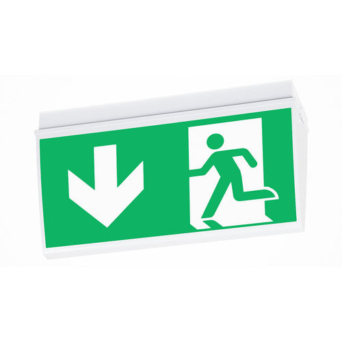 Éclairage de secours de plafond - COVE SAVE - REGENT LIGHTING - mural / suspendu / rectangulaire