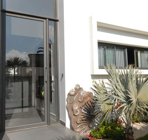 Porte d'entrée - DZAO® - PROFILS SYTEMES - en verre / en aluminium / battante