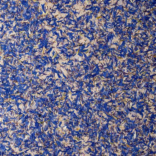 Panneau de revêtement - BLEUETS - OBERFLEX - pour mur / à grande résistance / flexible