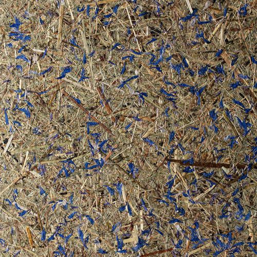 Panneau de revêtement - ALPAGE & BLEUETS - OBERFLEX - pour mur / à grande résistance / flexible