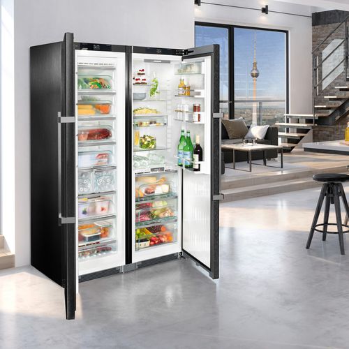 Réfrigérateur à double porte - SBSBS 8673 PREMIUM BIOFRESH NOFROST - LIEBHERR - résidentiel / en pose libre / gris