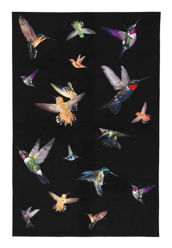 Tapis contemporain - HUMMINGBIRD - The Rug Company - à motif / en soie / rectangulaire