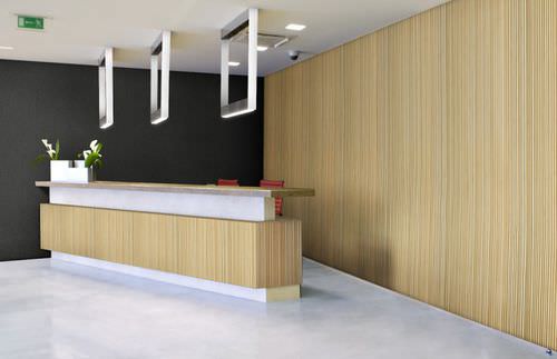 Panneau décoratif mural - LINEAR LINE PANEL STYLE LL3 - Smith & Fong Plyboo - en bambou / rainuré