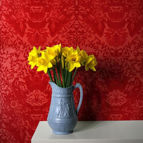 Papier peint classique - DEVIL DAMASK FLOCK - Timorous Beasties - baroque / noir / rouge