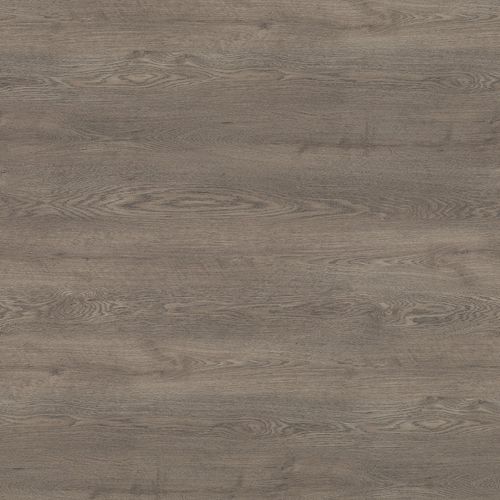 Stratifié décoratif aspect bois - CARTER OAK 17004 - Wilsonart International - texturé / HPL / marron