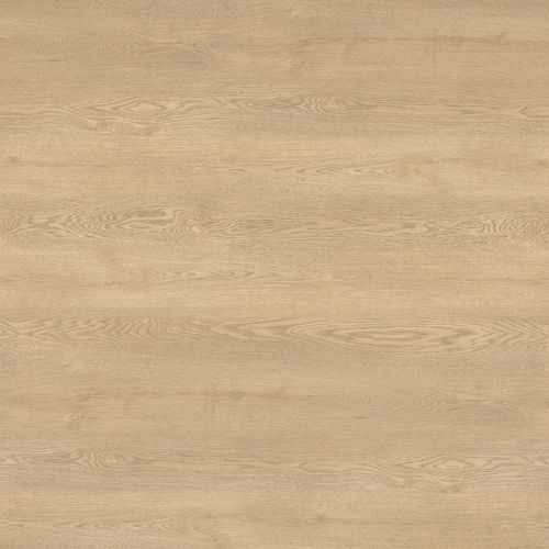 Stratifié décoratif aspect bois - RUSKIN OAK 17001 - Wilsonart International - texturé / HPL / marron