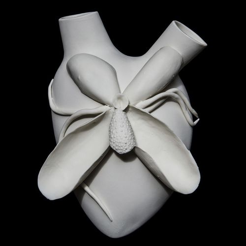 Vase contemporain - PHALAENOPSIS - ELICA STUDIO - en porcelaine / pour mur / fait main