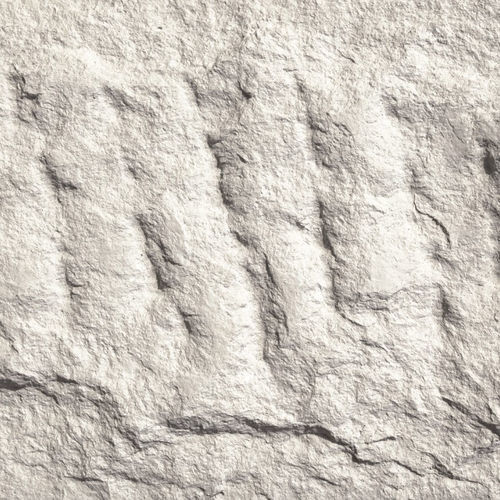 Carrelage en argile modifiée - DIVINE MUSHROOM - PHOMI - finition naturelle / texturé / d'intérieur