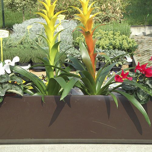 Jardinière en plastique - BIO-FLOWERPOTS  - ecohousesystem - rectangulaire / ronde / résistante aux UV