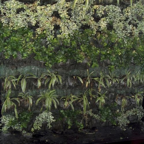 Mur végétal en végétaux vivants - VERTICAL GARDENS  - ecohousesystem - en panneau modulaire / naturel / floral
