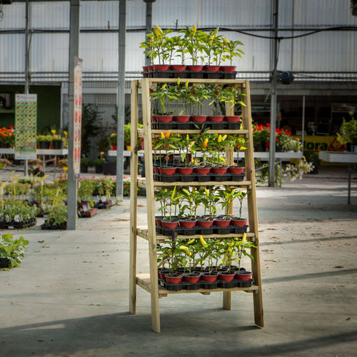 Présentoir pour plante - Five-Tier - Hortalia - en bois / double-face / 5 étagères