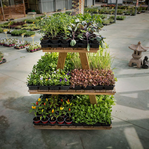Présentoir pour plante - 600001 - Hortalia - en bois / à quatre faces / 3 étagères