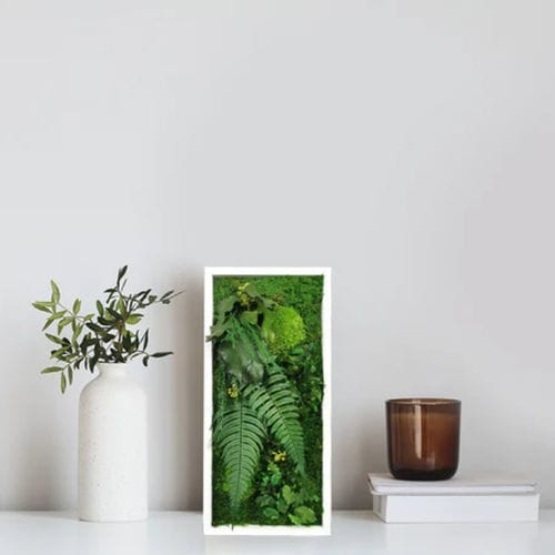 Tableau végétal stabilisé - ELEGANCE 18X38 - naturall green - en mousse boule / feuillages denses / floral