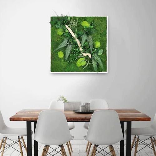 Tableau végétal stabilisé - 80x80 - naturall green - feuillages denses / naturel / d'intérieur