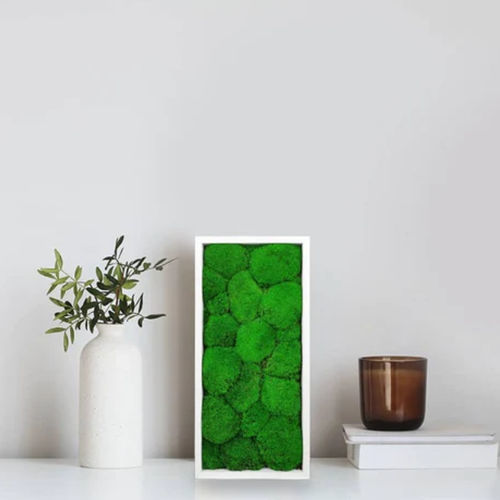 Tableau végétal stabilisé - STABILIZED 18X38 - naturall green - naturel / en mousse boule / d'intérieur