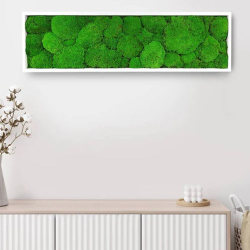 Tableau végétal stabilisé - STABILIZED 20X70 - naturall green - naturel / en mousse boule / d'intérieur