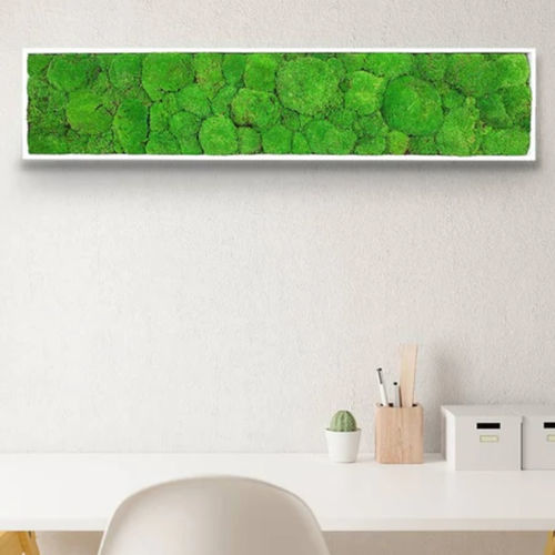 Tableau végétal stabilisé - STABILIZED 25X115 - naturall green - naturel / en mousse boule / d'intérieur