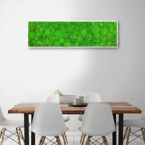 Tableau végétal stabilisé - STABILIZED 40X140 - naturall green - naturel / en mousse boule / d'intérieur
