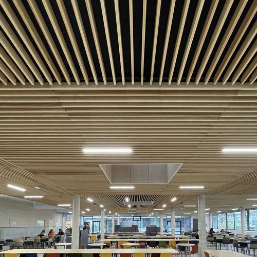 Panneau acoustique pour mur - WL V7 68 - Woodslines - pour plafond / en bois massif / en chêne
