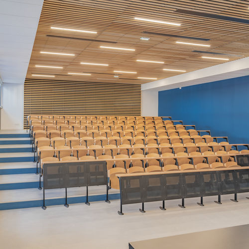Panneau acoustique pour faux-plafond - WL H6 38 - Woodslines - suspendu / en bois massif / en chêne