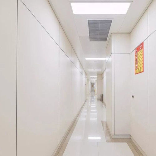 Plaquette de parement pour intérieur - Changzhou Zhongtian Fire-proof Decorative Sheets Co., Ltd. - pour établissement public / pour mur intérieur / à clipser