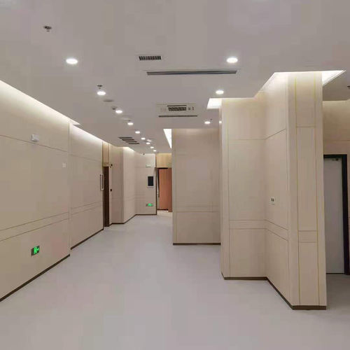 Panneau stratifié pour mur - Changzhou Zhongtian Fire-proof Decorative Sheets Co., Ltd. - pour agencement intérieur / pour meuble / hydrofuge
