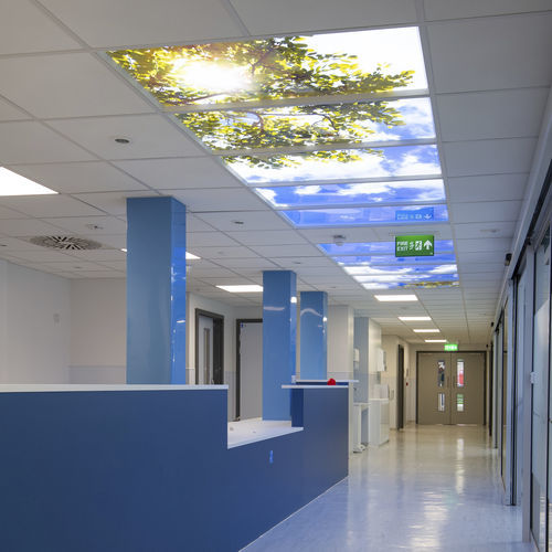 Panneau led pour plafond ciel - LC60120 - Aspire - avec animation graphique / pour hôpital