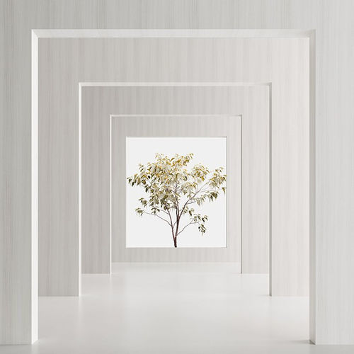 Panneau décoratif de revêtement - Nitens White DB1 - Saviola - mural / mélaminé / coloré