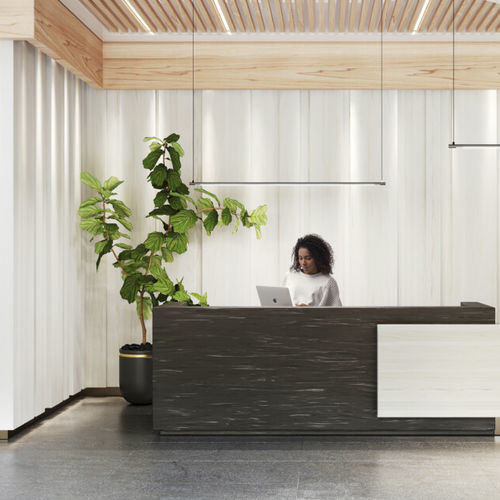 Panneau décoratif de revêtement - Eventide - Durasein - pour agencement intérieur / en Solid Surface / lisse