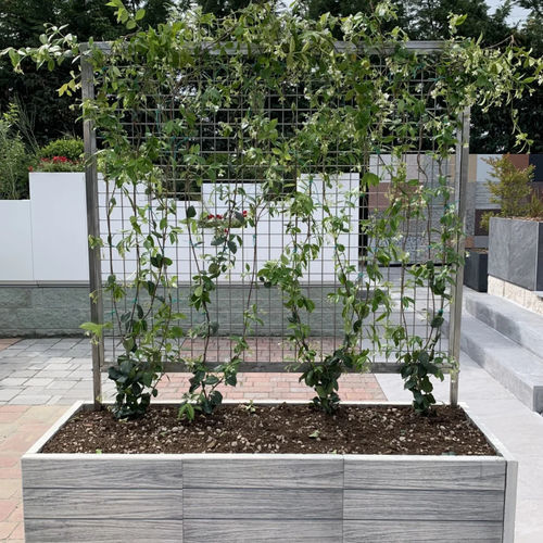 Treillage pour mur végétal - DOMINO Srl - en acier inoxydable / durable